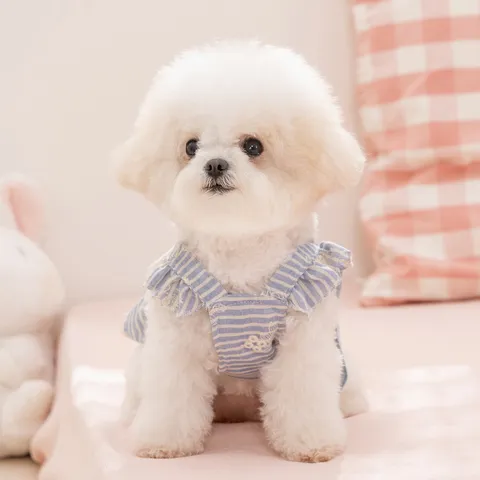 Huisdier Prinses Jurk Lente Zomer Ademend Gestreepte Bloemen Strik Tutu Rok Voor Kleine Honden Katten Puppy Kleding