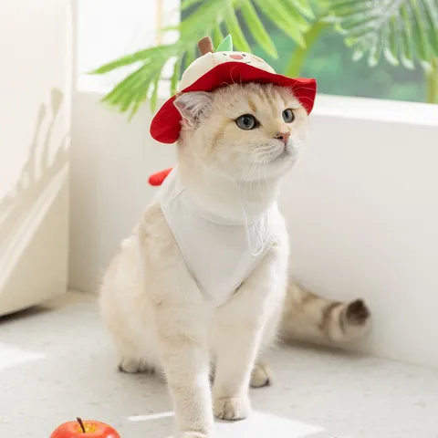Pet Cat Dog Vest Summer Thin Breathable Anti-Shedding Clothes Cute Fruit Pattern Tank Top With Matching Sun Hat Pet Apparel