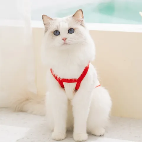 Breathable Mesh Pet Sling Clothes Cute Tomato Watermelon Print Puppy Cat Vest Summer Thin Apparel Pet Supplies