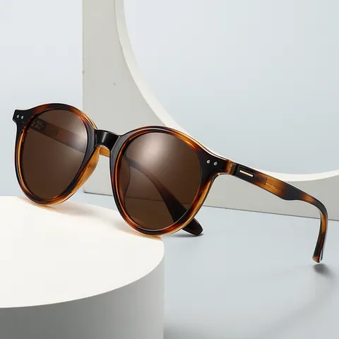 Retro Ronde Gepolariseerde Zonnebril Voor Heren Dames UV400 Bescherming Klassiek Kunststof Frame Rijbril Outdoor Reizen Eyewear