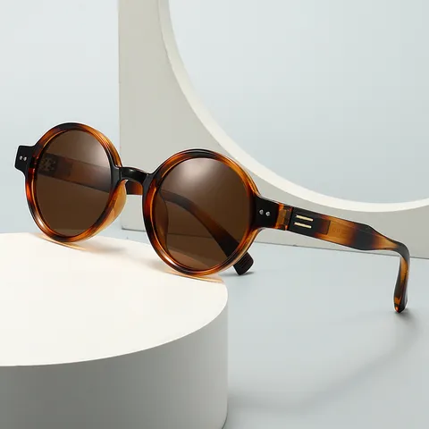 Retro Ronde Gepolariseerde Zonnebril Voor Dames Heren Plastic Frame UV400 Bril Klassieke Vintage Outdoor Brillen Reizen
