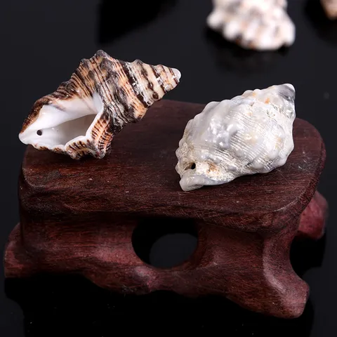 Natural Shell Black Sesame Snail Beads With Side Hole DIY Micro Landscape Fish Tank Decoration Craft Shell Accessories