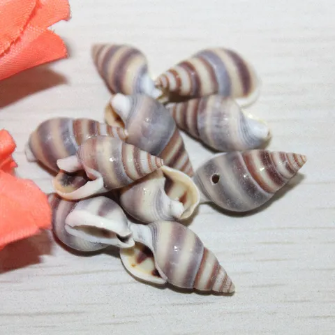 Natural Sea Shell Beads Purple Brown Striped Conch Shells With Side Hole DIY Craft Shell Accessories For Jewelry Making Jewelry Supplies