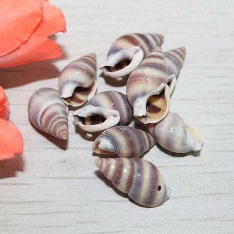 Natural Sea Shell Beads Purple Brown Striped Conch Shells With Side Hole DIY Craft Shell Accessories For Jewelry Making Jewelry Supplies