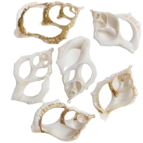Natural Conch Slice Flat Thorn Shell Charm With Gold Electroplated Edge DIY Jewelry Accessory For Bag Clothing Decoration