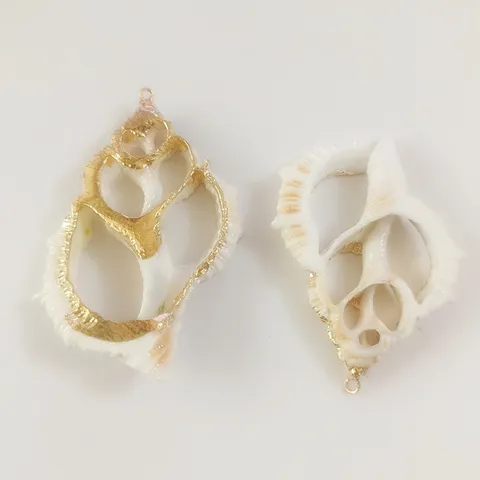 Natural Conch Slice Flat Thorn Shell Charm With Gold Electroplated Edge DIY Jewelry Accessory For Bag Clothing Decoration