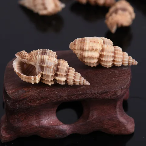 Natural Bamboo Spiral Shell Beads Side Hole Conch Shells Craft Accessories For DIY Fish Tank Landscaping Home Decoration
