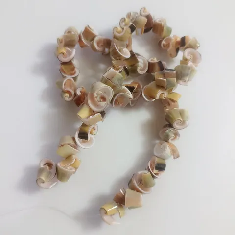 Natural Peacock Shell Conch Slice Chain Irregular Spiral Beads DIY Handmade Jewelry Accessories Bag Hanging Ornaments