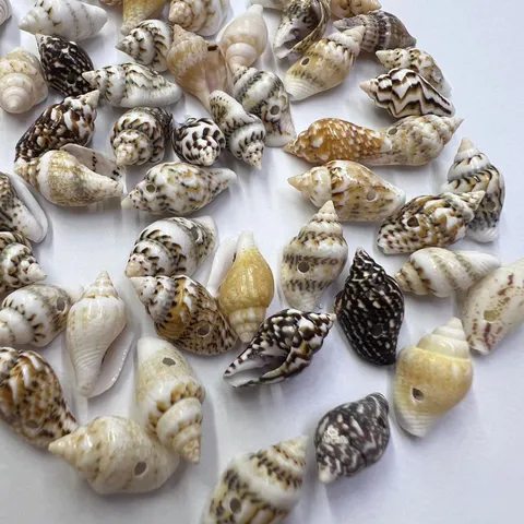 Natural Seashell Corn Conch Beads Side Hole Loose Beads For DIY Jewelry Making Handcrafted Bracelet Craft Accessories