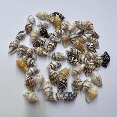 Natural Seashell Corn Conch Beads Side Hole Loose Beads For DIY Jewelry Making Handcrafted Bracelet Craft Accessories