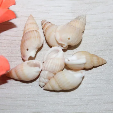 Natural Seashell Beads Loose Shell Charms Side Hole Yellow Rice Snail For DIY Jewelry Making Beach Craft Accessories