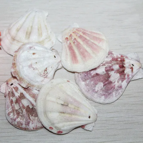 Coquillages Naturels Coquilles Saint-Jacques en Vrac pour Rideau Décoration d'Intérieur et Accessoires de Fabrication de Bijoux DIY