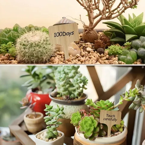 Etichette per Piante in Legno e Bambù a Forma di T Marcatori da Giardino Impermeabili per Piante in Vaso Fiori Verdure Erbe Succulente