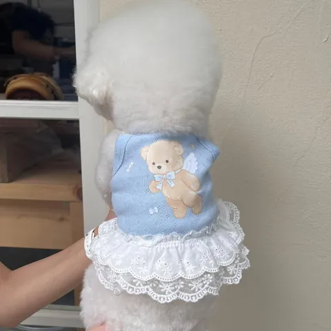 Breathable Cotton Lace Bear Print Dog Dress Cute Princess Style Summer Pet Clothing For Small Dogs Cats Puppy Clothes