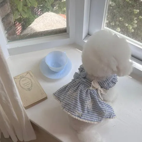 Vestido de Verano Transpirable para Perro y Gato con Volantes Lazo Rayas Bordado de Flores Ropa para Mascotas Pequeñas y Medianas