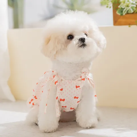 Haustier Kleid Im Koreanischen Stil Floraler Welpenrock Mit Schleife Gänseblümchen-Spitze Atmungsaktive Sommer-Hundebekleidung Für Kleine Hunde Katzen