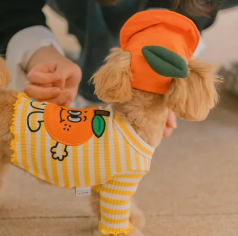 Camiseta de Chaleco a Rayas Lindo para Mascotas Bordado de Naranja de Dibujos Animados Ropa para Perros Pequeños Gatos Ropa Transpirable de Verano