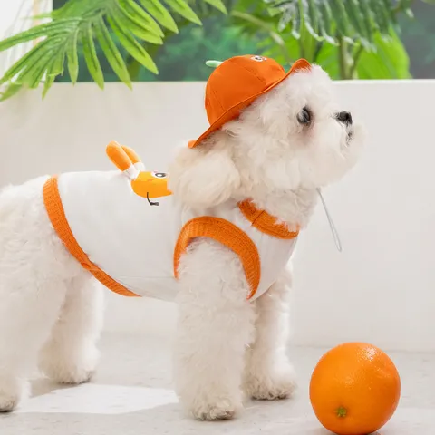 Cartoon Fruchtmuster Haustier Geschirr Weste Mit Hut Atmungsaktives Mesh Welpen Kleidung Soft Orange Kürbis Apfel Hund Katze Bekleidung