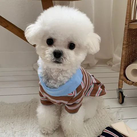 Vestido a Rayas Polo para Perro Mascota Gato Cachorro Ropa de Verano Falda Plisada Ropa para Animales Pequeños para Teddy Bichon