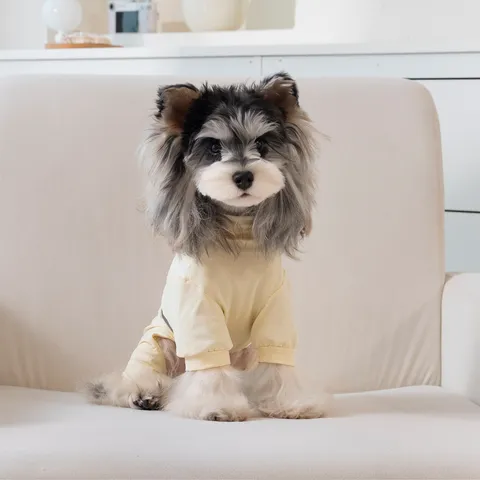 Atmungsaktiver Hunde-Jumpsuit Kühlende Hundekleidung Für Kleine Hunde Sommer Dünn Gestreift Welpen-Outfit Sonnenschutz Weste
