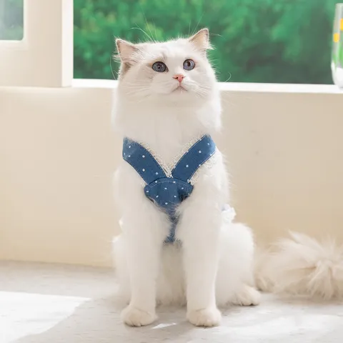 Haustier Hund Katze Geschirr Kleid Denim Spitze Punktmuster Floral Bestickt Sommer Frühling Prinzessin Kleid Für Kleine Hunde Welpen Kätzchen