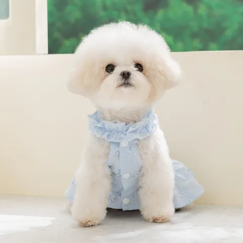 Haustier Prinzessin Spitze Kleid Rüschenausschnitt Hund Katze Gestreifter Rock Blumen Bestickt Geschirr Loch Kleidung