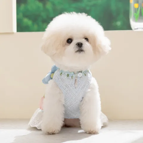 Sweet Pet Princess Dress Breathable Lace Dog Clothing Ruffle Ruffled Puppy Cat Relf Resort Style Dress With Flower Embroidery For Small Dogs Cats