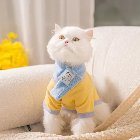 Pet Scarves