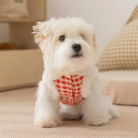 Cappotto Gilet a Scacchi per Animali Domestici Caldo Foderato in Pile Cartone Animato Tasca Cane Giacca Autunno Inverno per Gatti Cani Piccoli Medi Vestiti