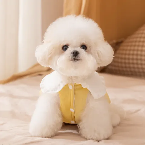 Haustier Cordsamt Polarfleece Hundeweste Mantel Winter Warme Rüschenkragen Jacke Mit Leinenbefestigung D-Ring Für Kleine Hunde