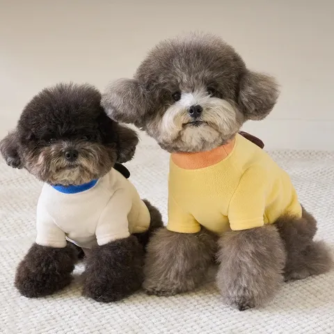 Pet Dog Clothes Warm Thin Fleece Cartoon Dog Embroidery Two-legged Clothing With D-ring For Small Dogs Teddy Puppy Outfit
