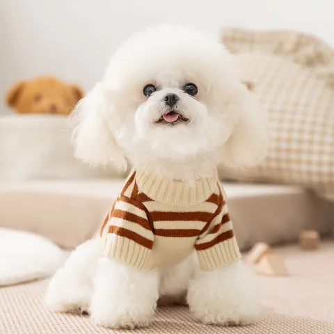 Pull Pour Animal Domestique Rayé Broderie Ours Mignon Vêtements Chauds D'hiver Pour Chiens Chats Petits Moyens