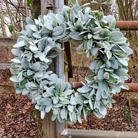 Artificial Flocked Lamb's Ear Wreath Grey Green Leaves Front Door Garland Farmhouse Home Decor Wedding Party Photography Prop