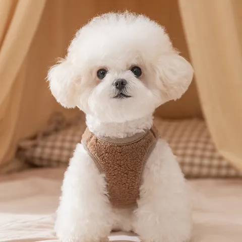 Gilet en Polaire pour Animal de Compagnie Automne Hiver Chaud Chiot Chatton Vêtements Mignon Ours Broderie Petit Chien Vêtements Manteau