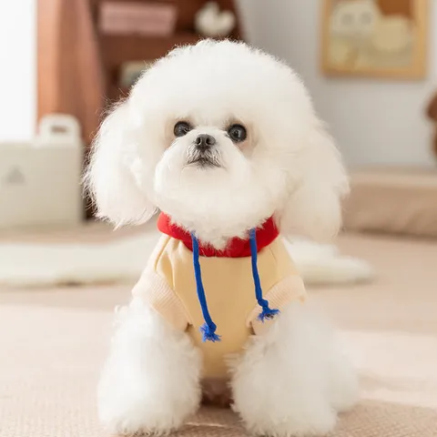 Pet Dog Hoodie Cute Cartoon Bear Fleece Sweatshirt Small Dogs And Cats Winter Warm Clothes Apparel Casual Style