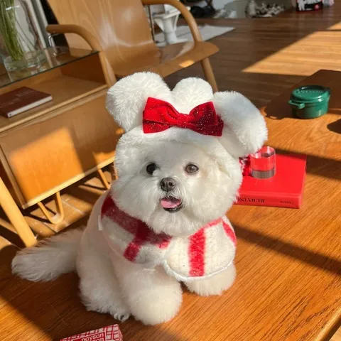 Natale Animale Domestico Cane Abiti Carino Peluche Abito Caldo Incappucciato Mantello Inverno Abbigliamento Per Piccoli Cani Cucciolo Animale Domestico Abbigliamento