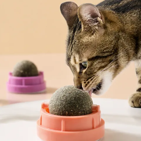Jouet Interactif Rotatif en Boule de Cataire pour Chats Mastication Nettoyage des Dents Fournitures pour Animaux