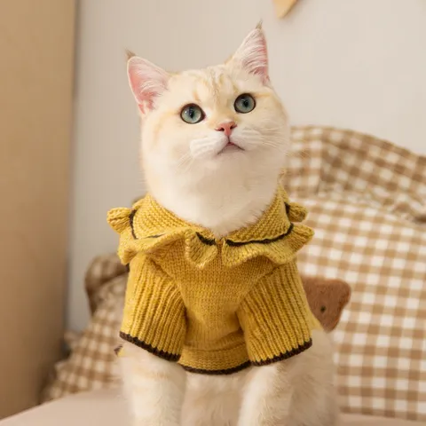 Cute Knitted Cat Sweater Warm Autumn Winter Pet Clothes For Cats Small Dogs Pullover With Ruffle Collar 3D Bear Ornament