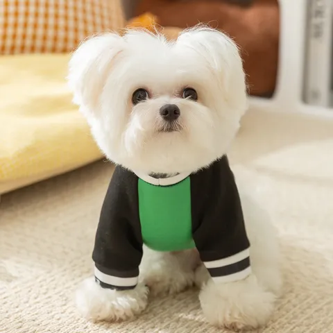 Pet Clothes Autumn Winter Fleece Warm Dog Hoodie Color Block Raglan Sleeves Sweatshirt With Mini Bag For Small Dogs Cats
