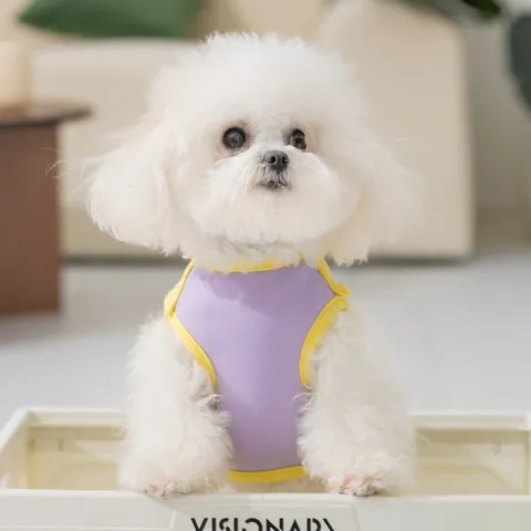 Cute Cartoon Monster Pet Vest Small Medium Dog Shirt Spring Summer Breathable Spandex Jersey Clothes For Teddy Puppy