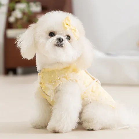 Pastorales Prinzessin Haustier Weste Kleid Set Mit Mini Strohtasche Haarnadel Netzspitzen Rüsche Pünktchen Hunde Kleidung Für Kleine Mittlere Hunde Katzen