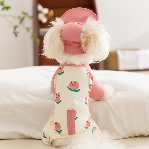 Eisseide Haustier Overalls Mit Sonnenhut Sommer Fruchtdruck Hundekleidung Atmungsaktiv Sonnenschutz Welpen Katze Vierbeinige Kleidung