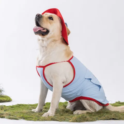 Haustier Sommer Kühlweste Hut Set Polyester Mesh Atmungsaktiv Mit Kapuze Bekleidung Für Mittlere Große Hunde Lässig Outdoor Hundekleidung