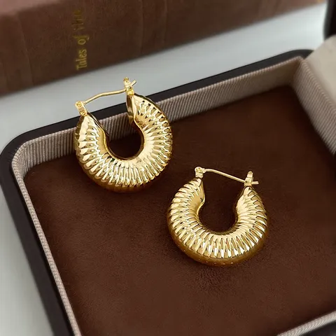 Orecchini a Cerchio Geometrici Massicci Alla Moda Per Donna Rame Metallo Orecchini a Forma di C Intrecciati Chic Regalo di Gioielli