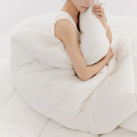 Couette en Fibre Synthétique Brossée Unie Minimaliste Douce Chaude Confortable pour Chambre Literie