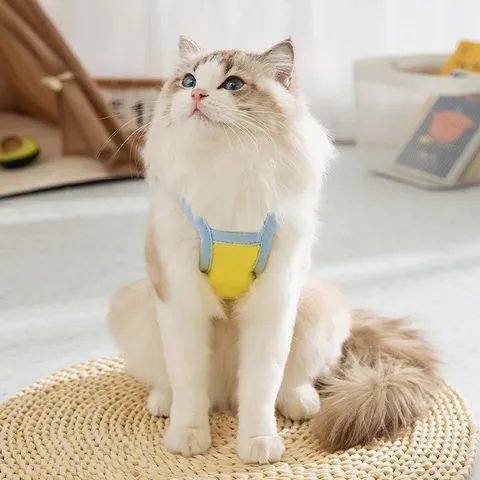 Vestiti per Animali Domestici Primavera Estate Carino Cartone Animato Frutta Stampa Animale Gilet Piccoli Cani Gatti Gilet Abbigliamento Traspirante
