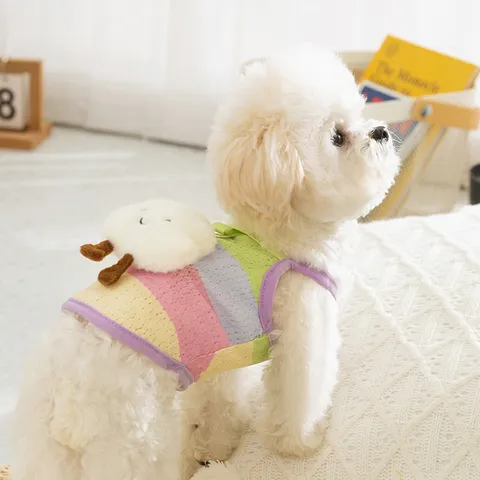 Lente Zomer Hond Regenboogstreep 3D Wolk Beer Mesh Träger Ademend Huisdier Kleding Kleine Honden Katten Vest Harnas Kleding