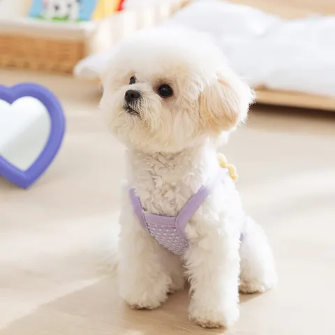 Grazioso Vestito con Imbracatura in Rete Floreale per Animali Domestici Abbigliamento Estivo Traspirante per Cuccioli Piccolo Cane Gatto Gilet Stile Principessa Abbigliamento di Trazione