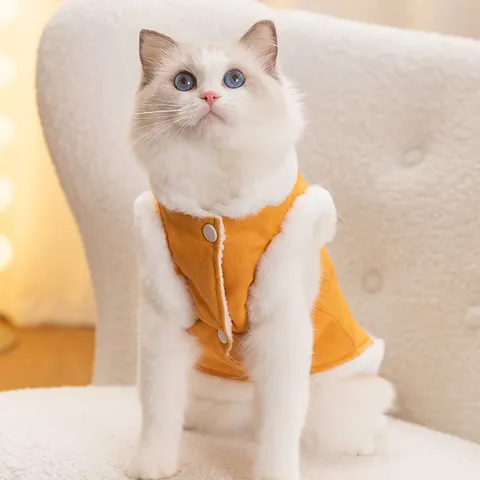 Autumn Winter Pet Warm Cotton Vest Cute Bear Embroidery Thickened Fleece Puppy And Cat Clothing
