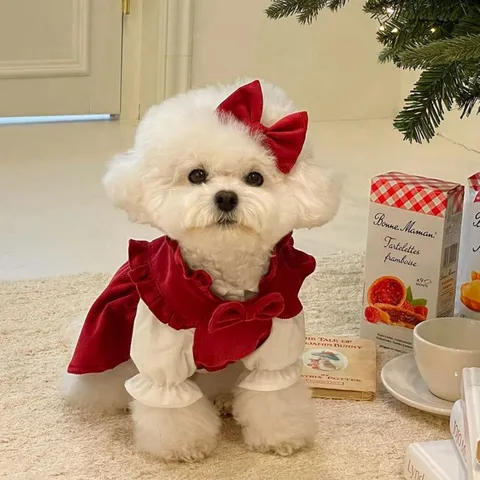Cute Christmas Dog Princess Dress Winter Warm Puppy Clothes Festive Pet Apparel